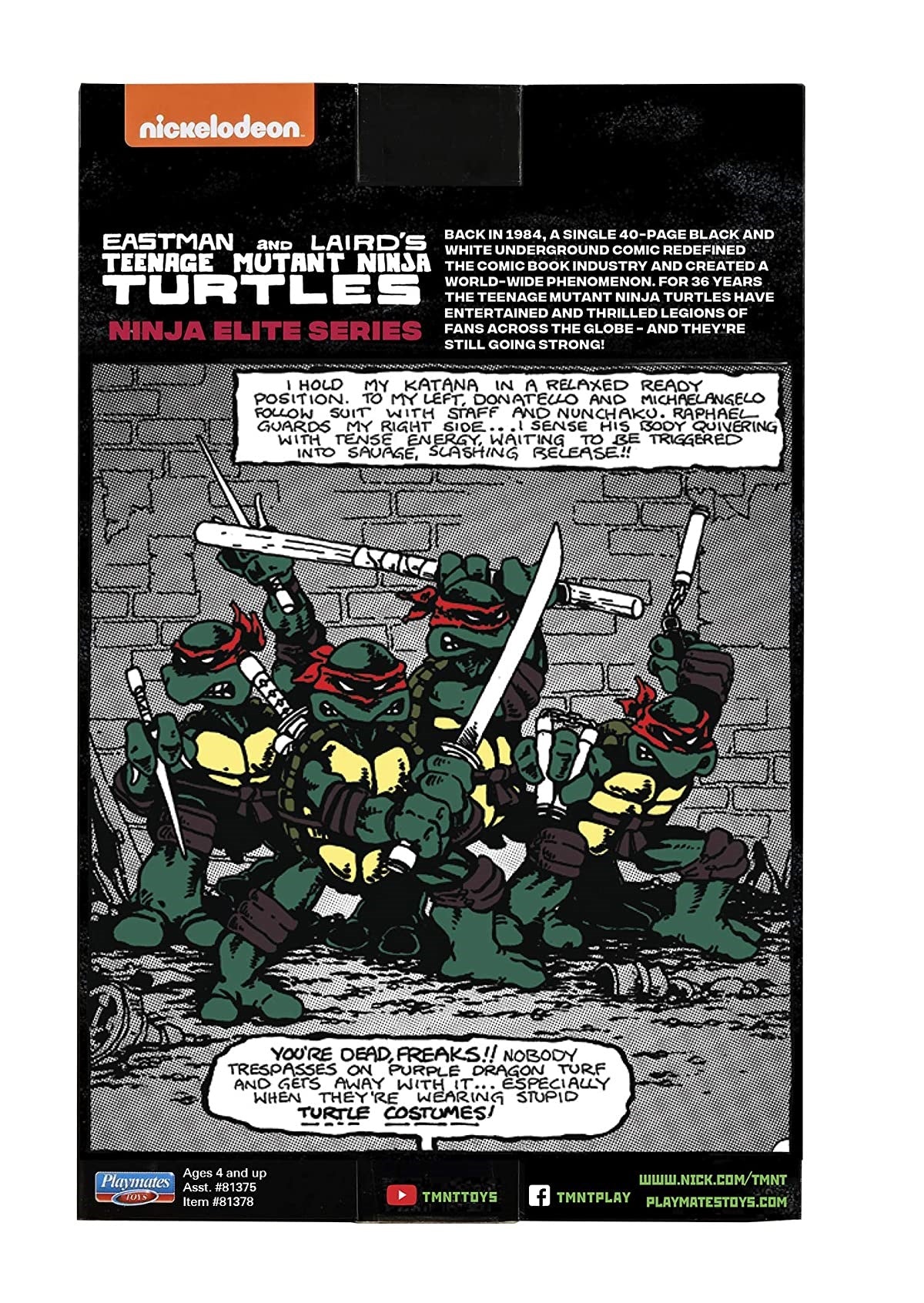 TMNT Ninja Elite Series Raphael figure