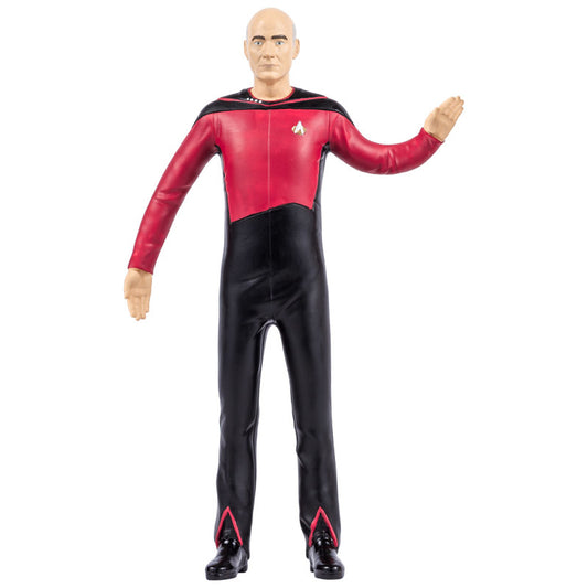 Patrick Stewart as Captain Picard from Star Trek: The Next Generation